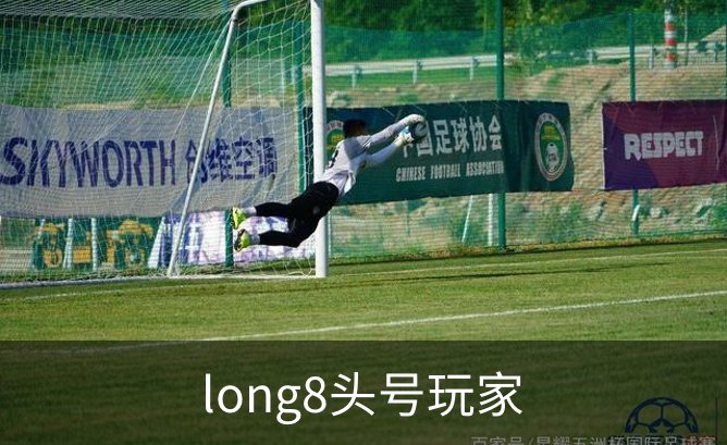 long8头号玩家品牌故事